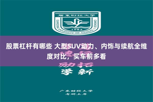 股票杠杆有哪些 大型SUV动力、内饰与续航全维度对比，买车前多看