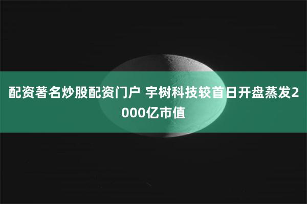 配资著名炒股配资门户 宇树科技较首日开盘蒸发2000亿市值