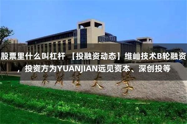 股票里什么叫杠杆 【投融资动态】维屾技术B轮融资，投资方为YUANJIAN远见资本、深创投等
